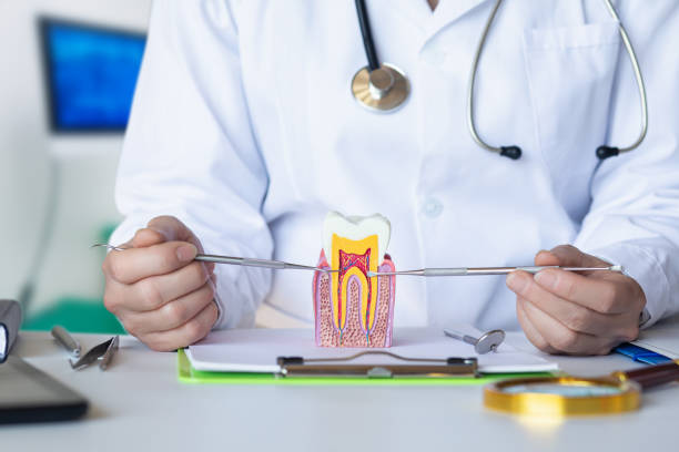Best Emergency Orthodontic Repairs in Topeka, KS